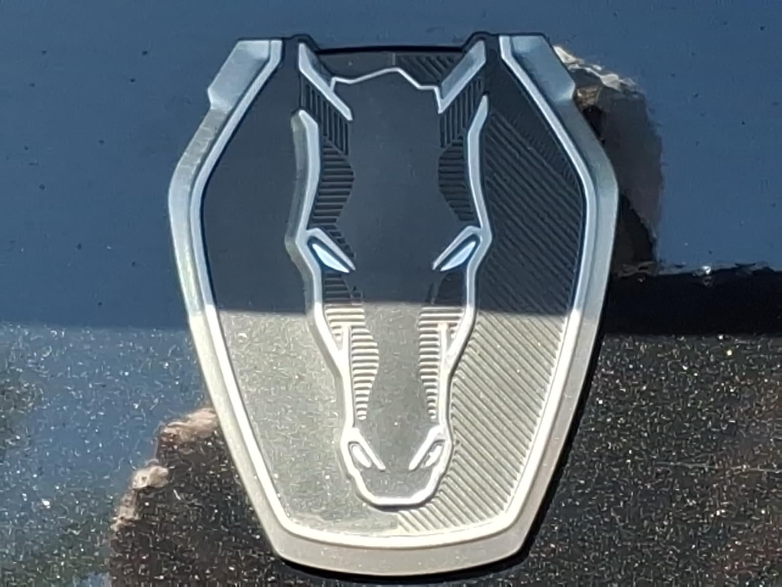 2025 Ford Mustang Dark Horse