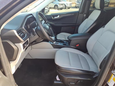 2023 Ford Escape Hybrid Platinum