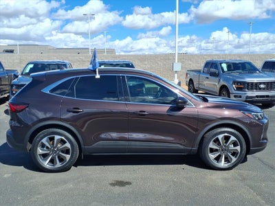 2023 Ford Escape Hybrid Platinum