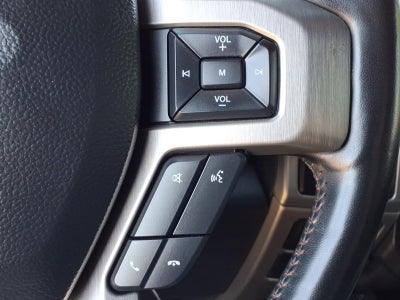 2022 Ford F-450 Super Duty Platinum DRW